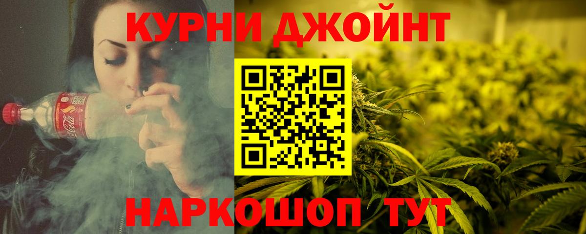 Конопля сатива Сочи